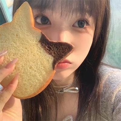 布里斯营