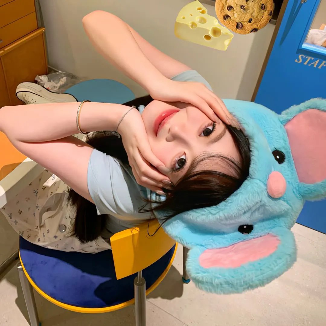 鸡肉派对